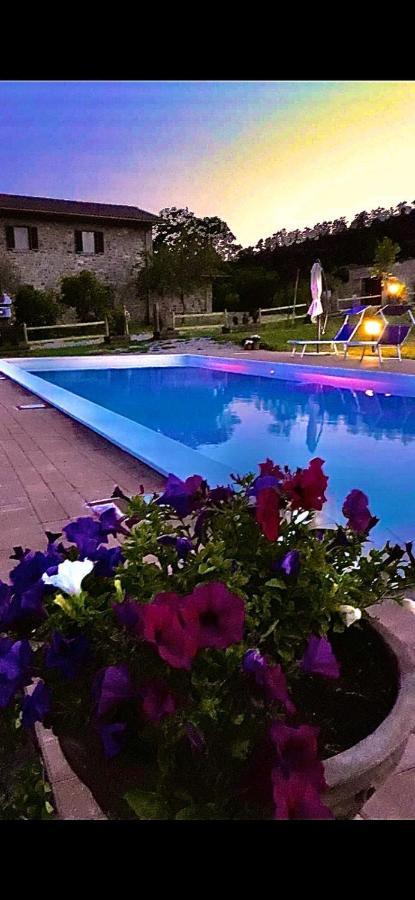 Villa Agriturismo Vista Sole Mercatale  Exterior foto