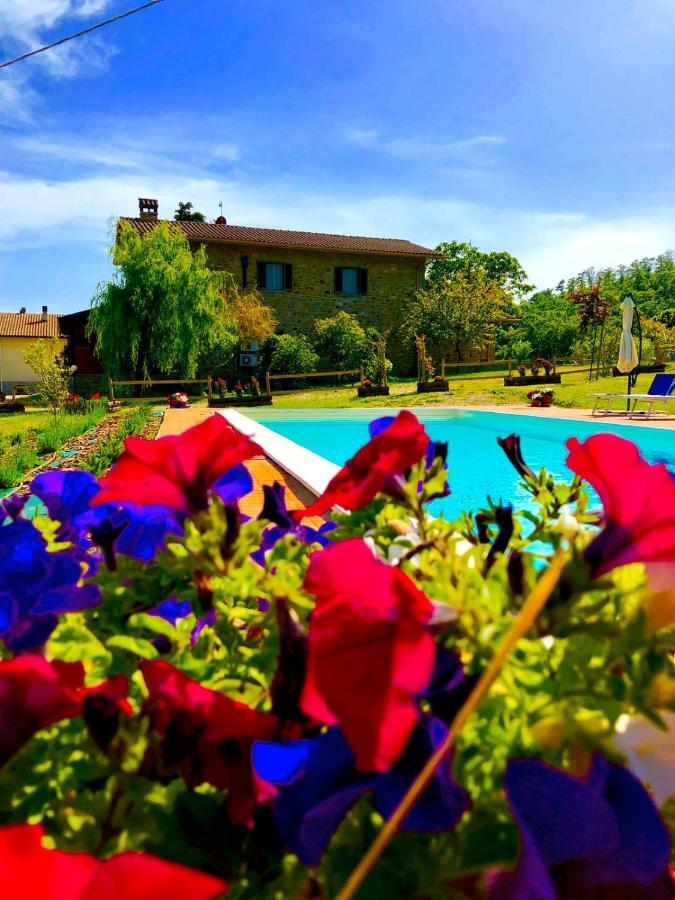 Villa Agriturismo Vista Sole Mercatale  Exterior foto